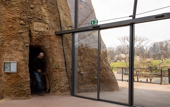 Automatic Sliding Doors